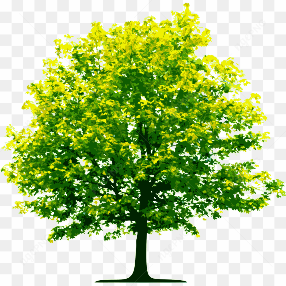 Un feuillage dor baigne un arbre dans une lumire chaude