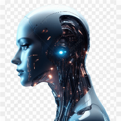 100 png images 