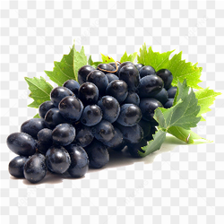 Raisins noirs sur fond vert