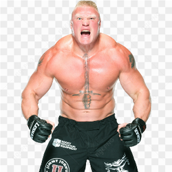 Brock lesnar en colre