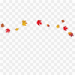 Des feuilles colores dansent dans le vent