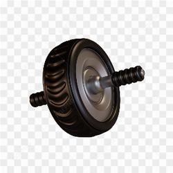 Gym Roller Dumbell