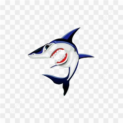 Shark animation cartoon