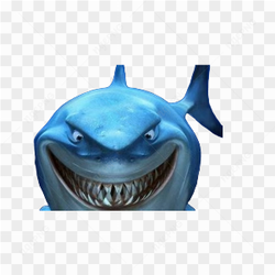 Shark animation cartoon