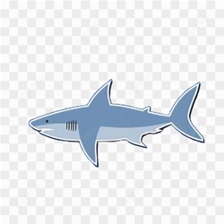 Shark animation cartoon
