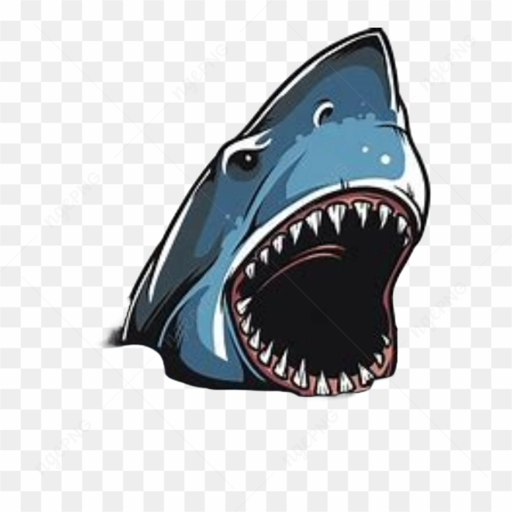 Shark animation cartoon