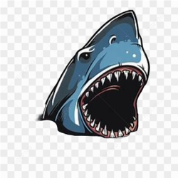 Shark animation cartoon