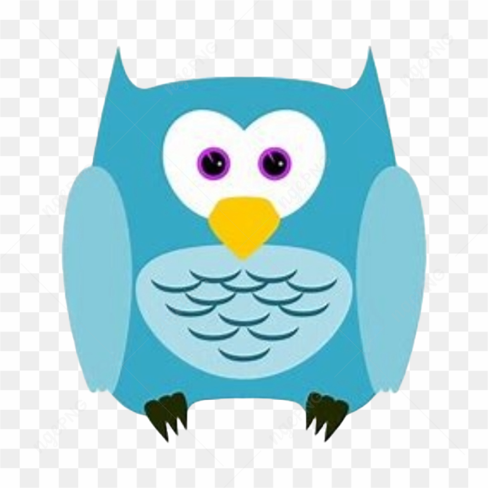 Owl animal animation