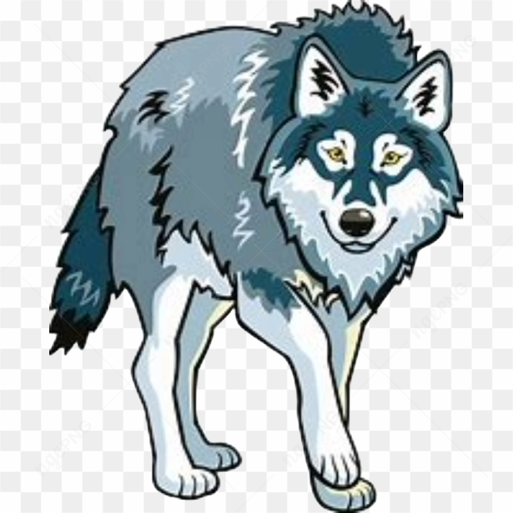 Wolf animation animal