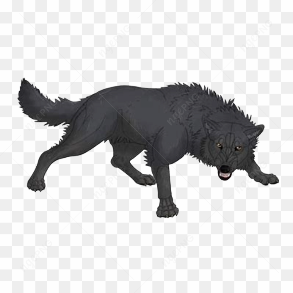 Wolf animation animal