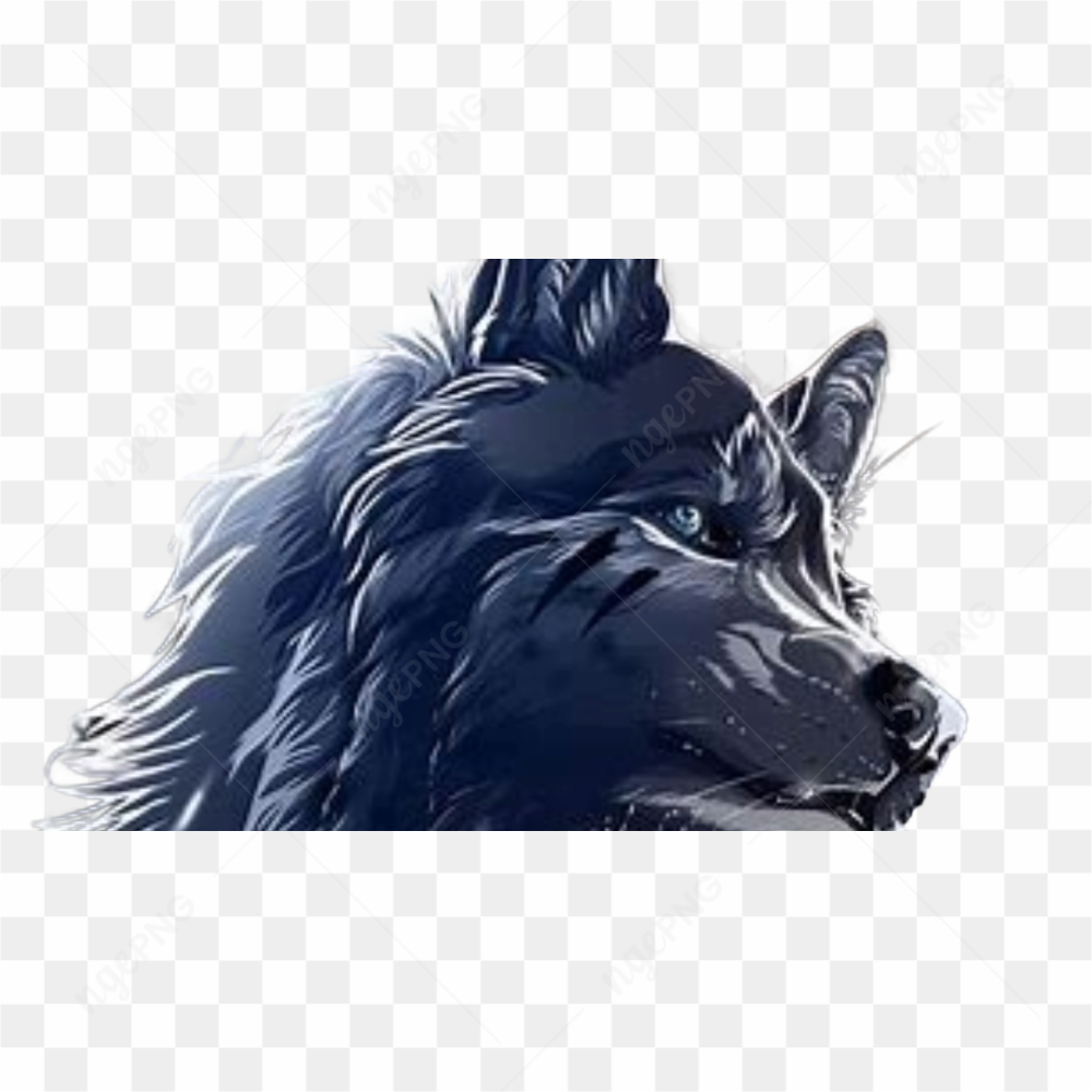 Wolf animation animal