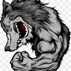 Wolf animation animal