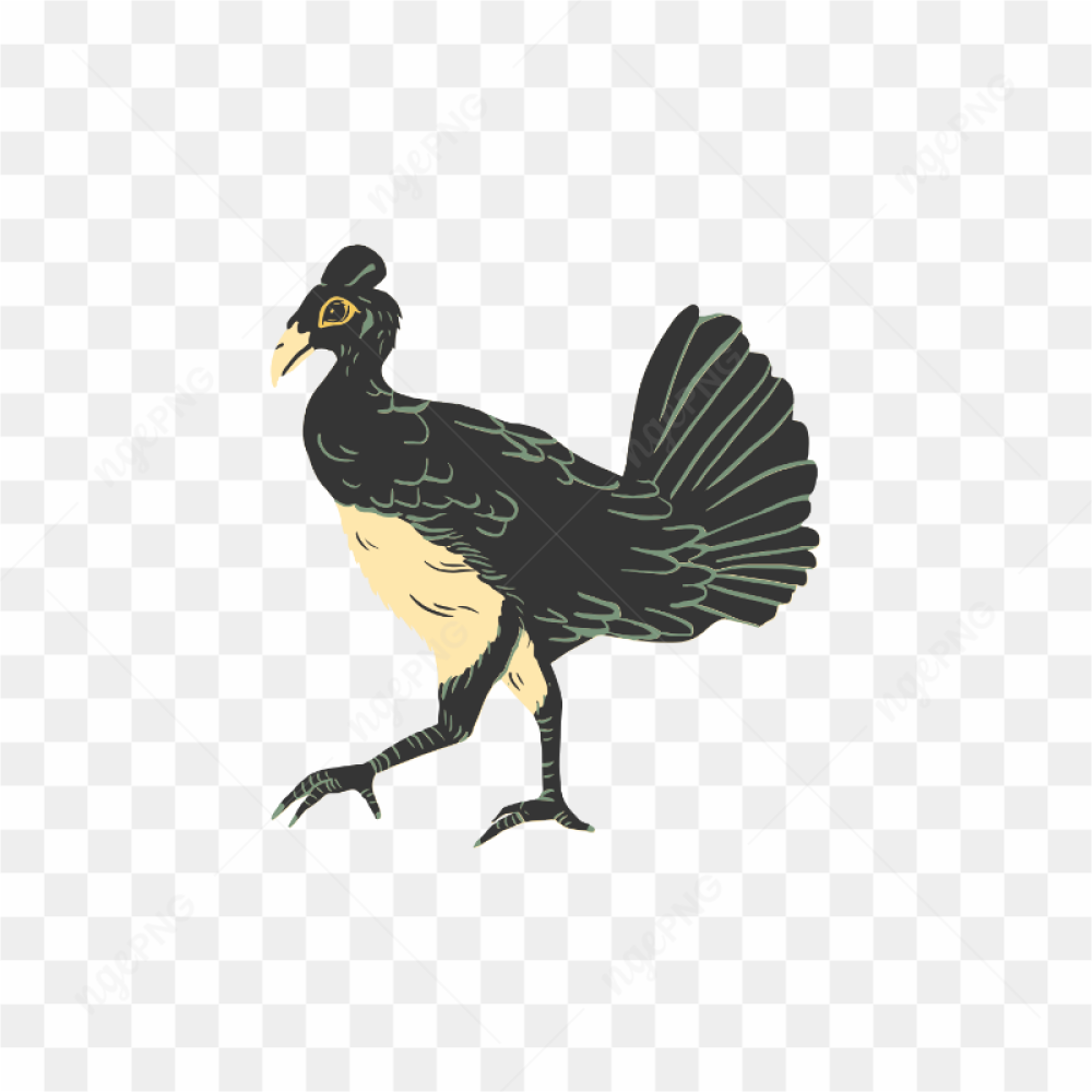 Transparent bird image