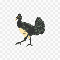 Transparent bird image