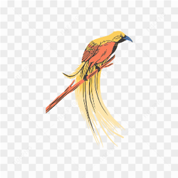 Bird in tree