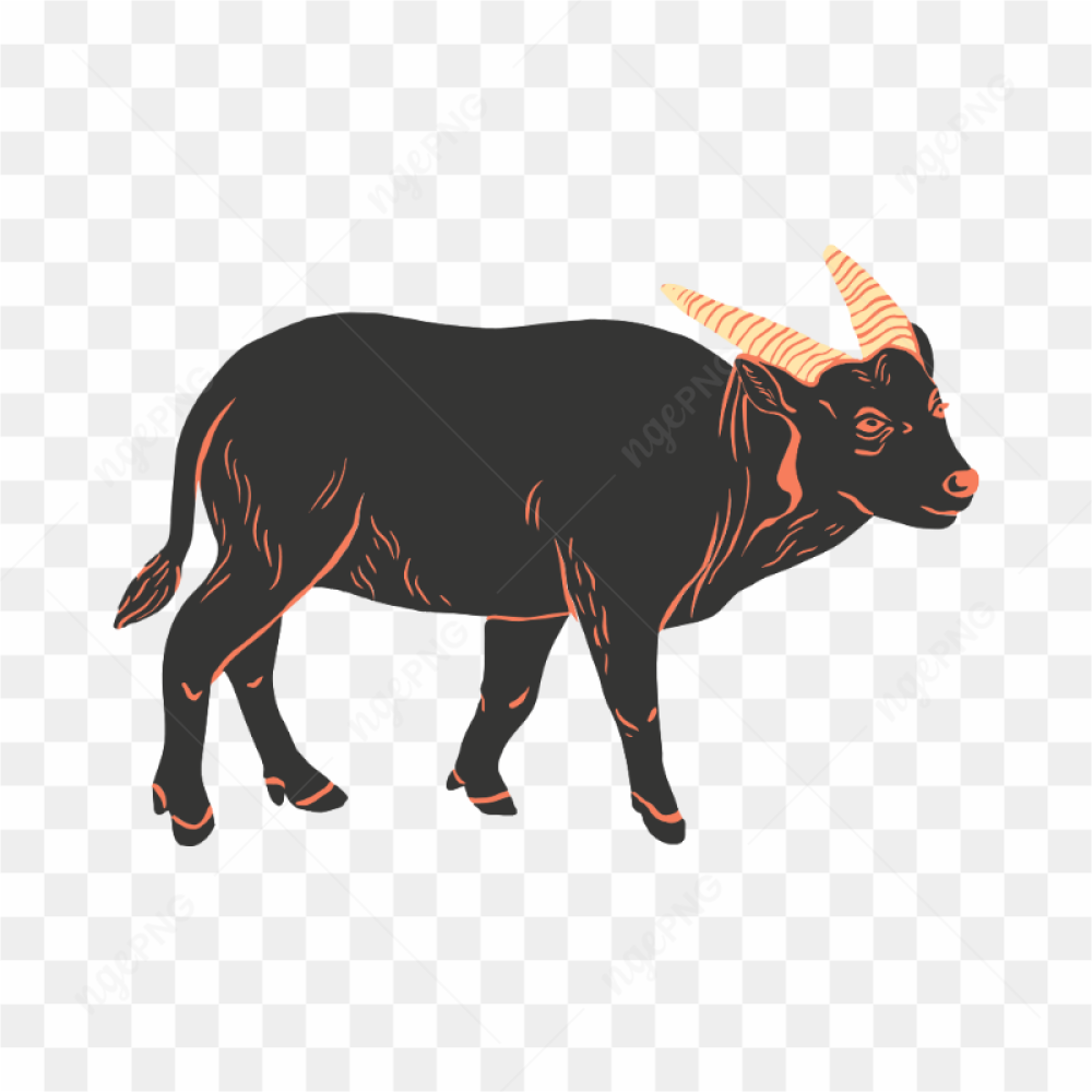 Cow transparent image