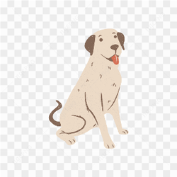 Dog transparent image