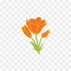 Transparent flowers images