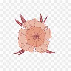 Transparent flowers images