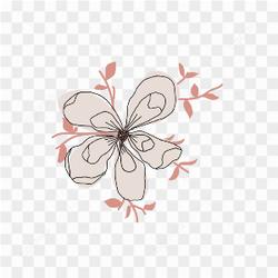Beautiful flower images