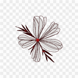 Tranparent flower collection
