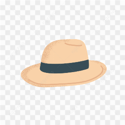 Beautiful hat image
