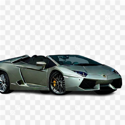 Lamborghini cars racing