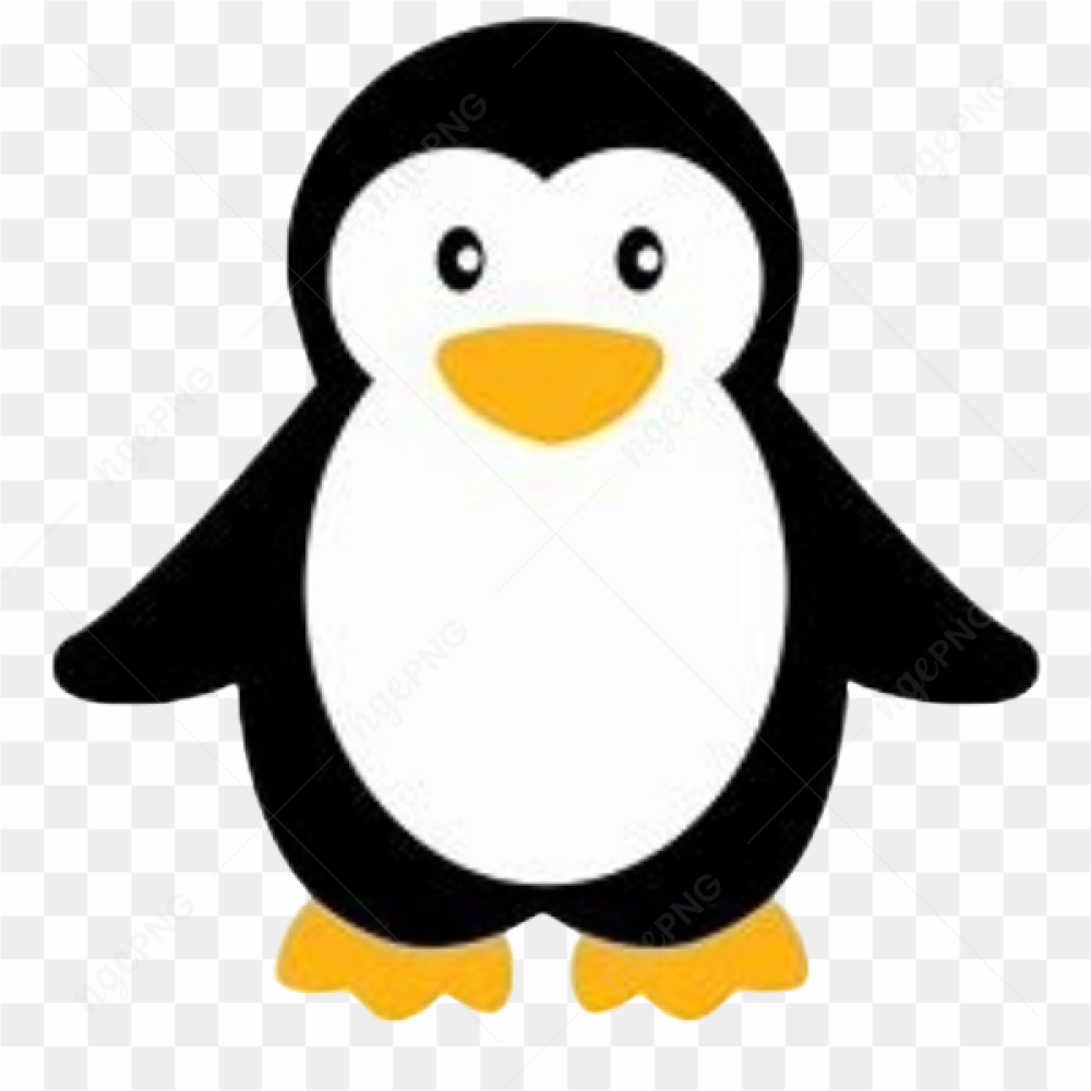Animation animal penguin