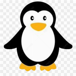 Animation animal penguin
