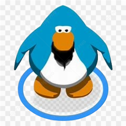 Animation animal penguin