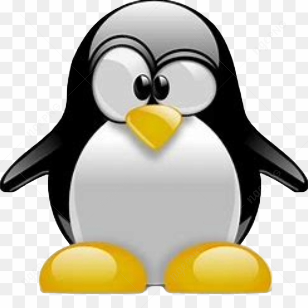 Animation animal penguin