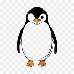Animation animal penguin