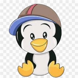 Animation animal penguin