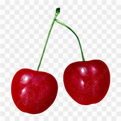 Fresh Healthy Cherry
