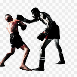 Boxing sport fitness