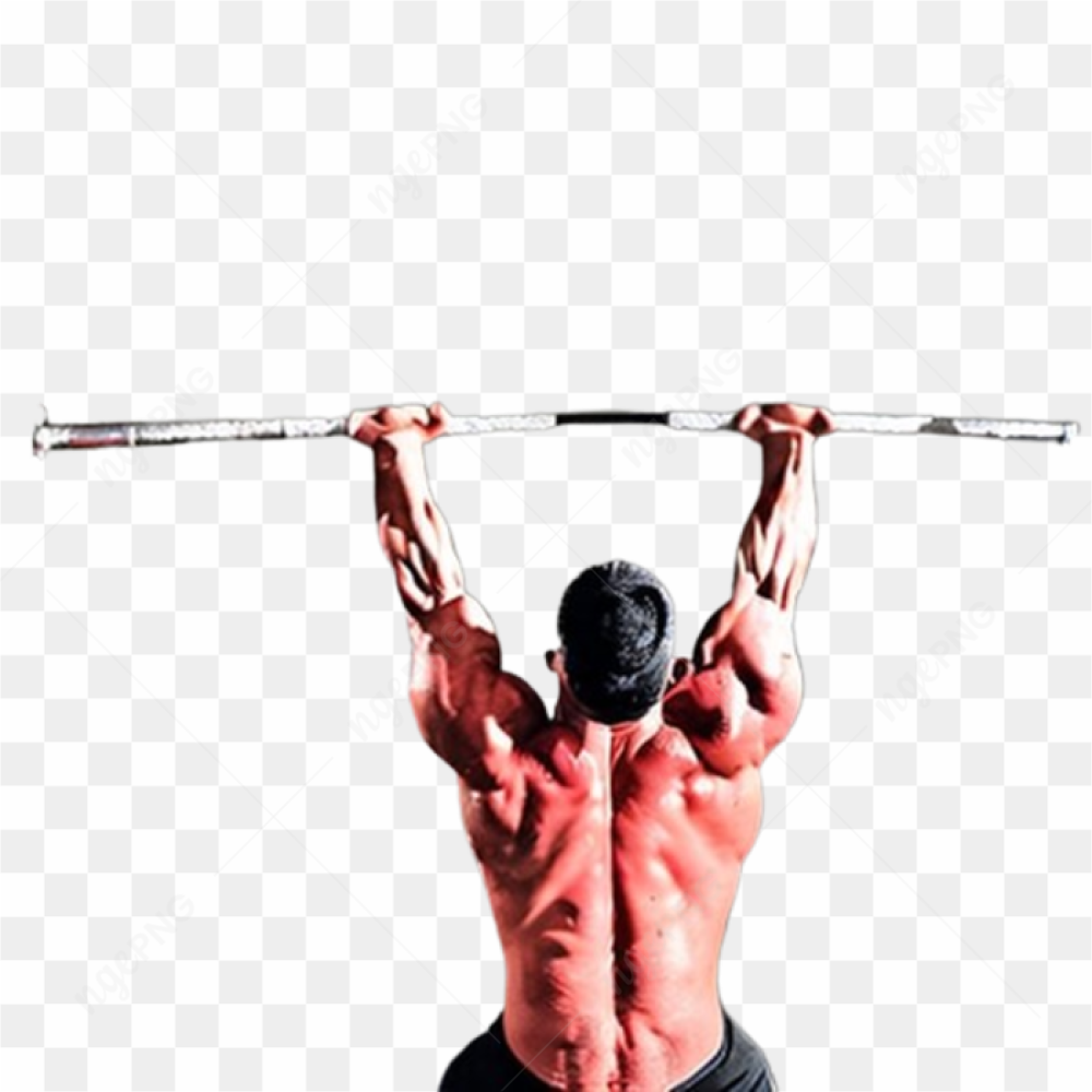 Fitness gym sport