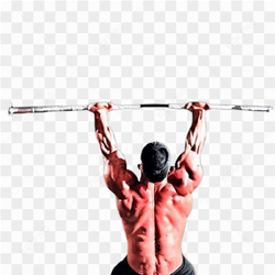 Fitness gym sport