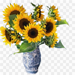 Sunflowers yellow flowers