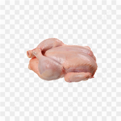 Whole Chicken Meat