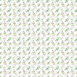Frame beauty png 