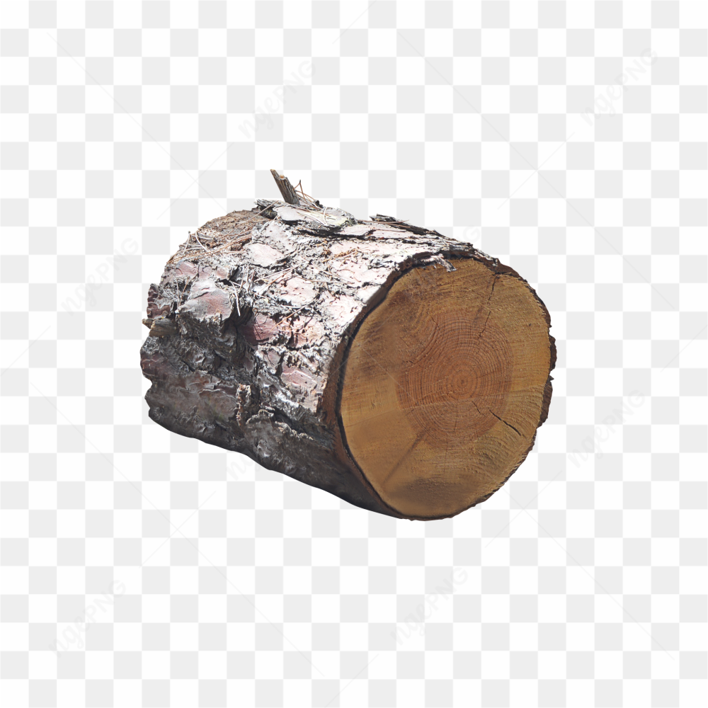 Tree log pics