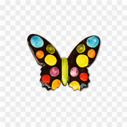 Colored Butterfly pic