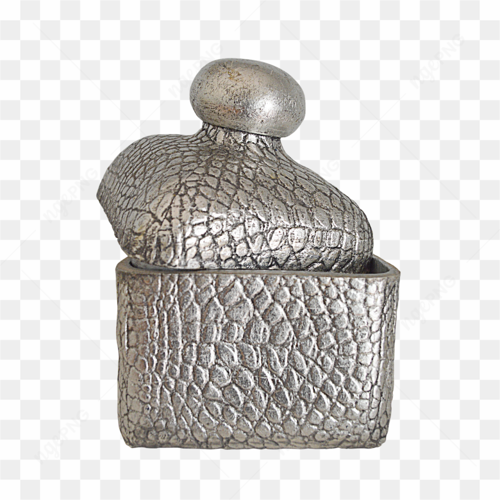 Silver can pic