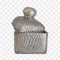 Silver can pic 