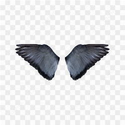 Dark Angel wing 