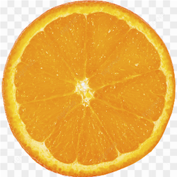 Orange slice fruit 