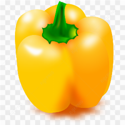Yellow Bell pepper 