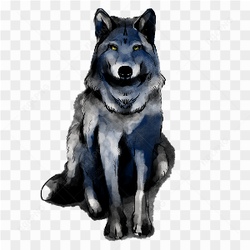 Dessin d'un loup wolf