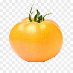 Image tomato yellow