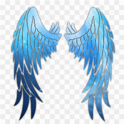 Image des ailles bleue